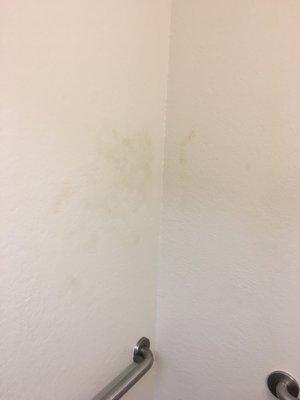 What looks like poop smears on the wall