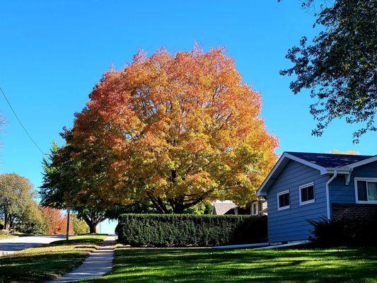 Loving the beautiful autumn  colors