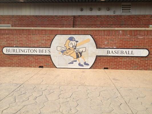 Burlington Bees