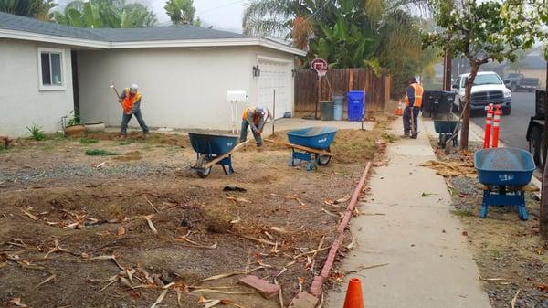 Fast and efficient work being done in my front yard