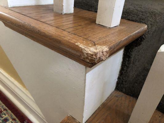 Replace damage chewed steps