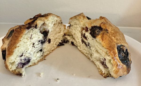 Inside Blueberry Scone. 12/12/23