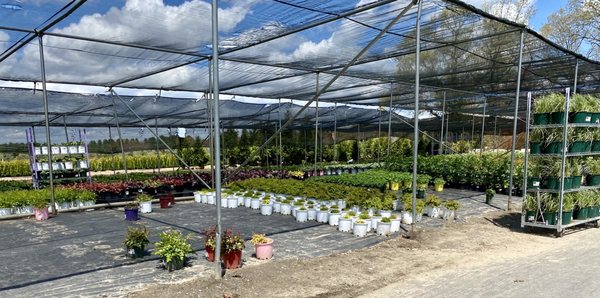 Cavicchio Greenhouses