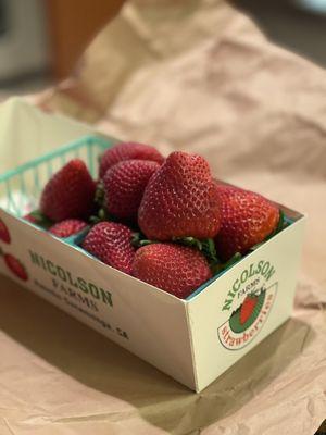 Fresh locally grown Strawberries