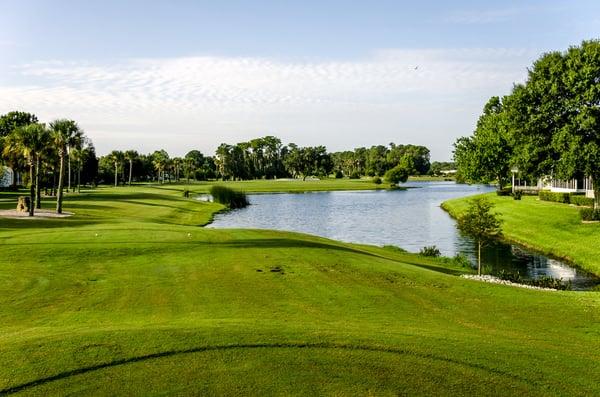 Tee Shot on No. 8