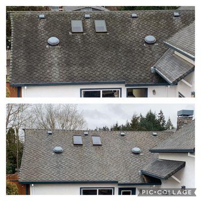 Roof Cleaning