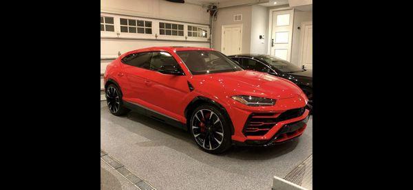 Urus