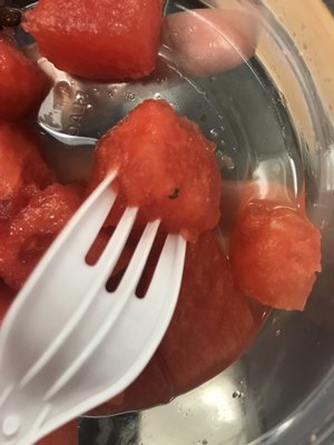 The bug found in my fruit  from Ciao Pizza