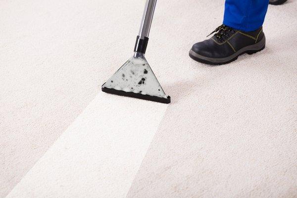 Professional carpet steam cleaning