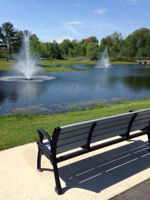 Lots of benches