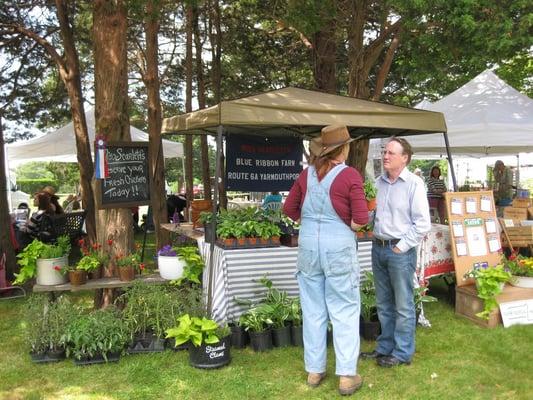 The Osterville Farmer's Market