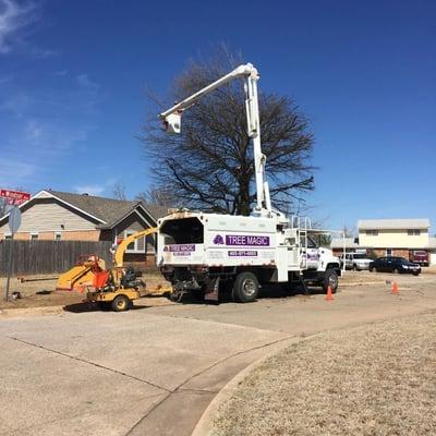 Tree trimming?  Not a problem!