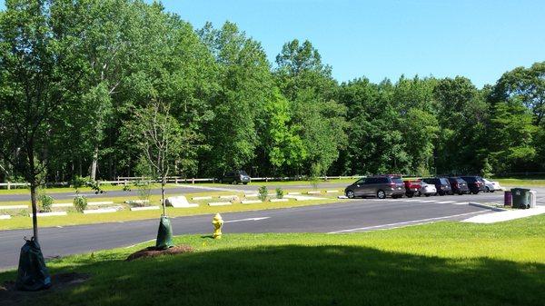 Our new in 2017 bioswale biofilter parking lot! Maybe it's strange to be excited about a parking lot, but we love ours!