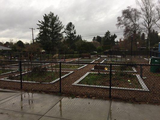 community garden