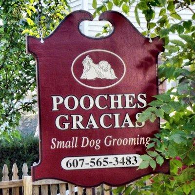 Pooches Gracias