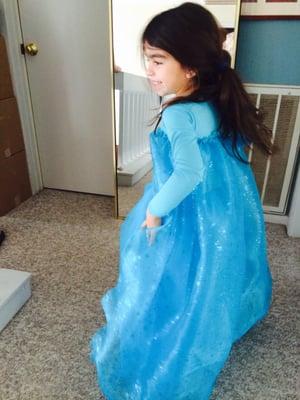 Elsa Dress frozen movie character