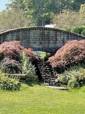 Bridge and water feature.