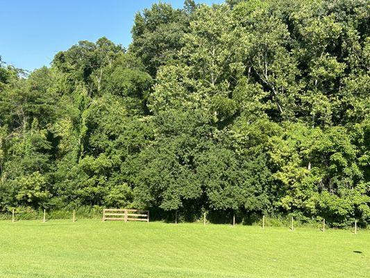 Section of fence at back of property