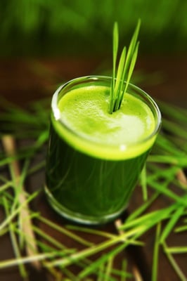 Shot of Wheatgrass Juice!