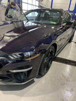 We applied a one year ceramic coating on this beautiful Mustang