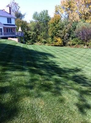 Cross cut back yard in Buckner, KY