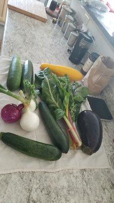 Zucchini, summer squash, swiss chard, onions and eggplant!