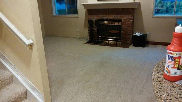 After, carpet ready for the Holidays or Selling your home.