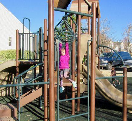 Grandkids Park Slides