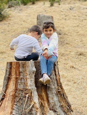 Kidwings Nature School