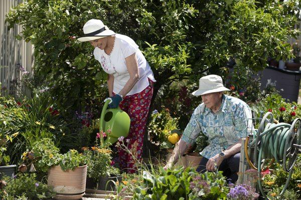 Residents gardening