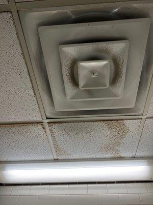 Stained ceiling tiles & filth