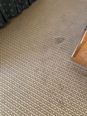 Carpet is disgusting wouldn't even walk barefoot OMG