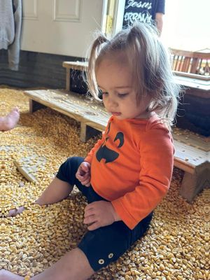 Corn play area!