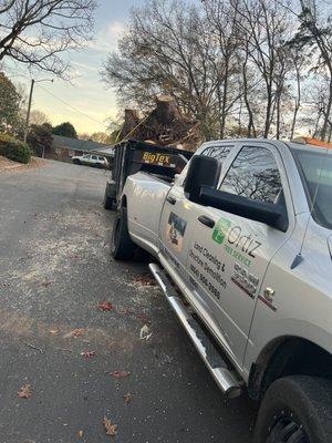 Trees service