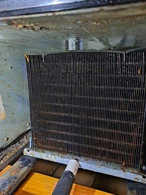 Clean Condenser Coil After