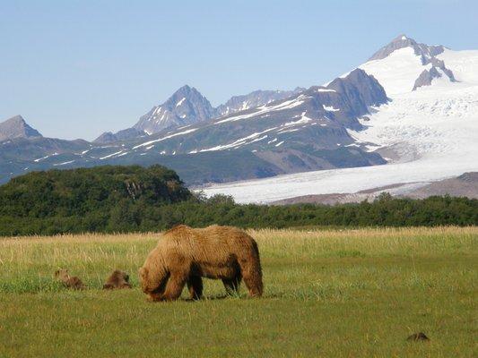 We Know Where The Bears Are! Come Fly With Us!