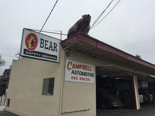 Campbell Automotive