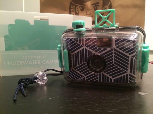 Underwater camera for $20