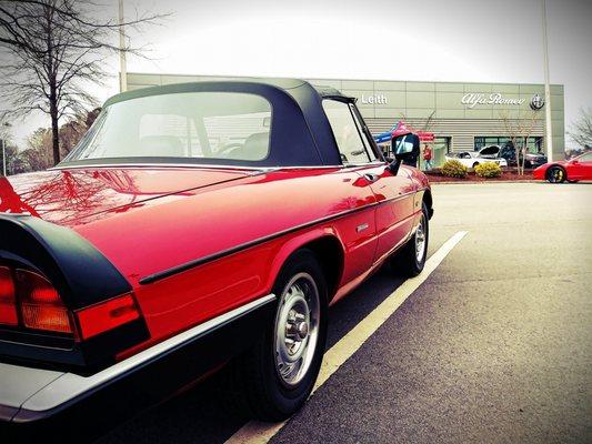 A classic Alfa Romeo Spider looks towards its new home at Leith Alfa Romeo of Raleigh.