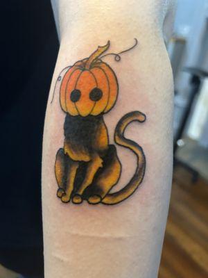 Pumpkin Kitty!!!