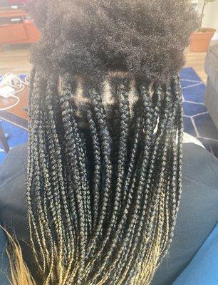 Box braids