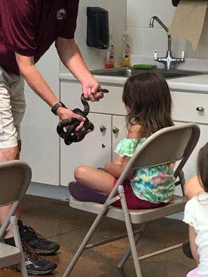 Live critters in the activity room