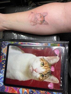 tattoo compared to photo