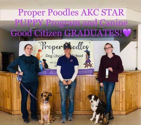 Proper Poodle AKC Certified, AKC STAR Puppy Program, Canine Good Citizen, Farm Hunt, Scent Classes & Agility!