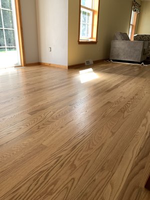 hardwood floor pros