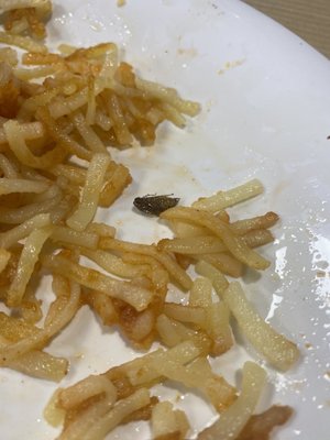 A roach in my hash brown