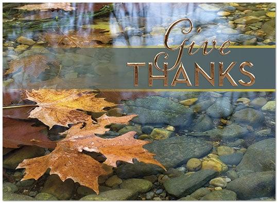 Seasonal Thanks Thanksgiving Card