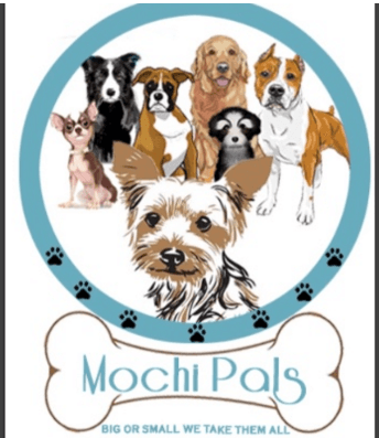 Mochi Pals Boarding and rescue: Big or small we take them all