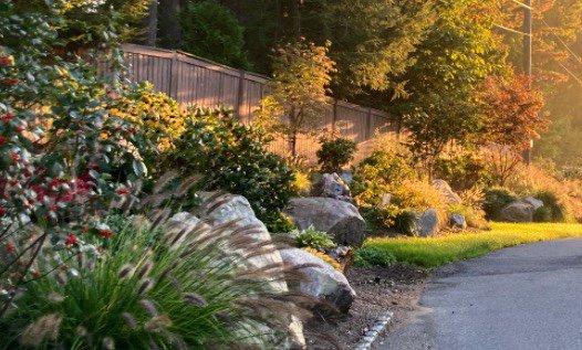 A sun dressed hillside garden