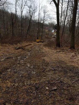 Clearing for new driveway installation